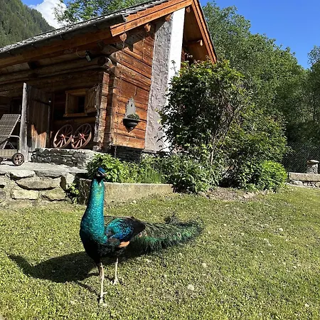 Romantikchalet Chalet Flattach