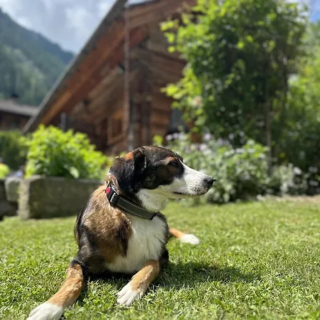 Romantikhuette 弗拉塔克