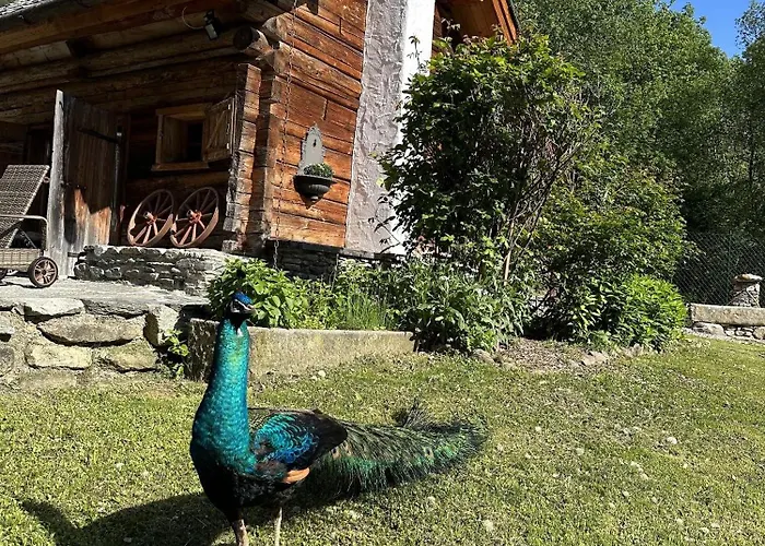 Romantikhuette Ferienhaus Flattach