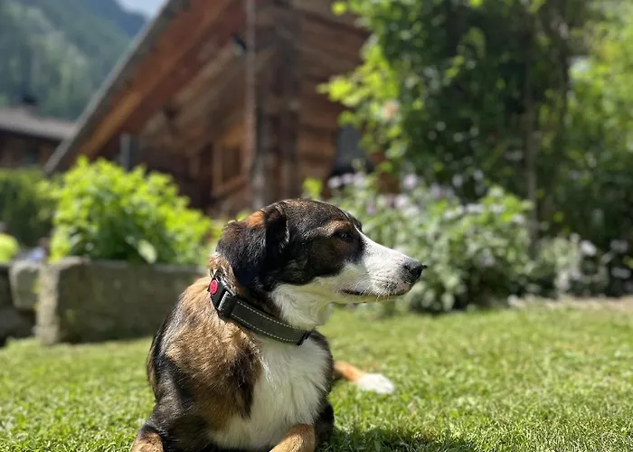 Romantikhuette Flattach